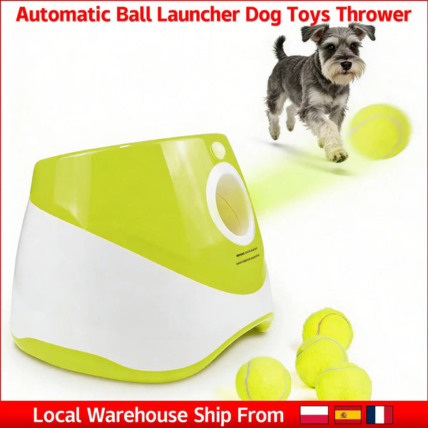 Ballwurfmaschine für Hunde, wiederaufladbar