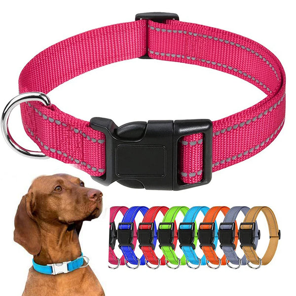 Hundehalsband dekorativ für kleine Hunde, im Set