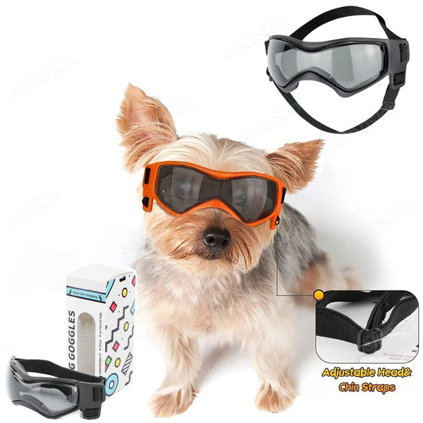 Hundebrille mit UV-Schutz, verstellbar