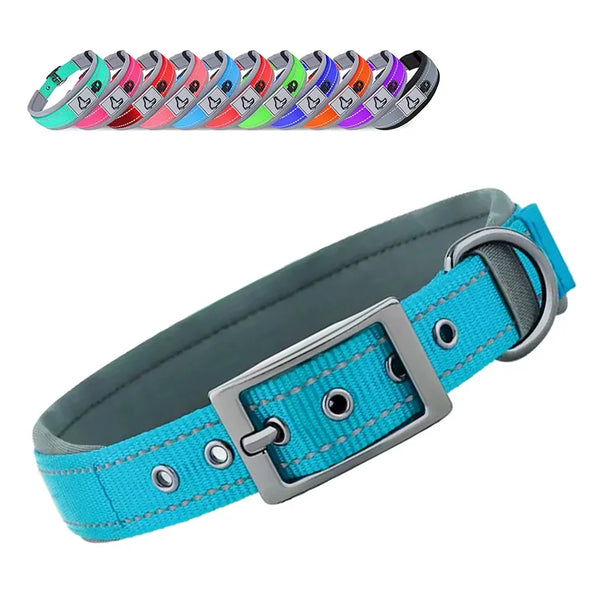 Hundehalsband aus Nylon, einfarbig mit Schnalle
