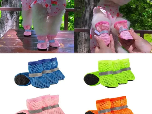 Schuhe & Pfotenschutz