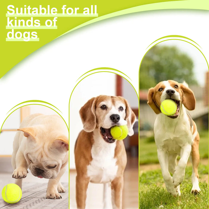 Ballwurfmaschine für Hunde, wiederaufladbar