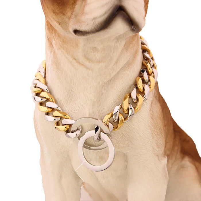 Ketten-Halsband für Hunde vergoldet, im Choker-Stil