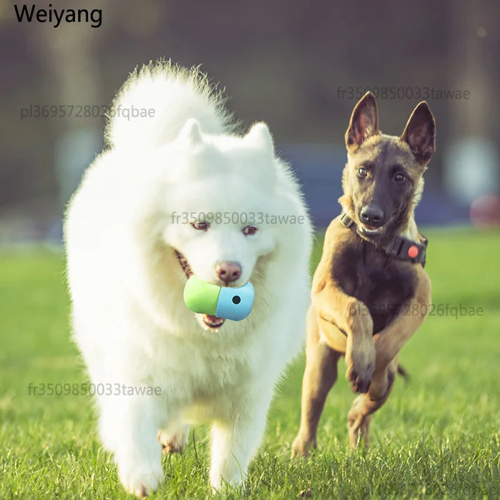 Schleckball für Hunde befüllbar, aus Silikon