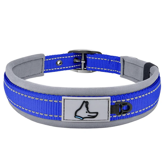 Hundehalsband aus Nylon, einfarbig mit Schnalle