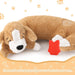 Herzschlag-Kuscheltier für Hunde, beruhigend