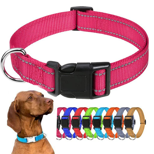 Hundehalsband dekorativ für kleine Hunde, im Set