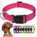 Hundehalsband dekorativ für kleine Hunde, im Set