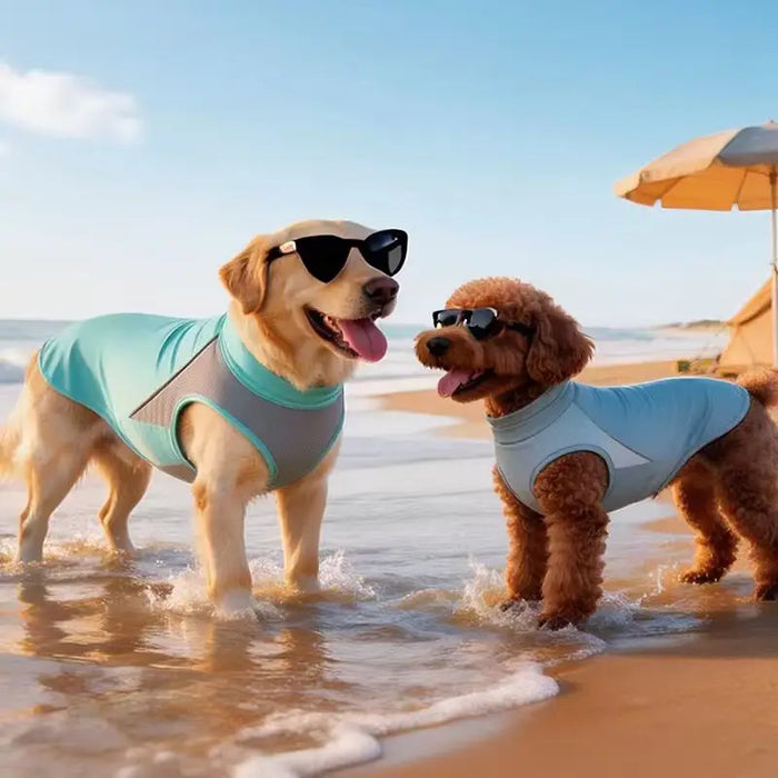 Kühlweste für Hunde mit UV-Schutz, Mesh
