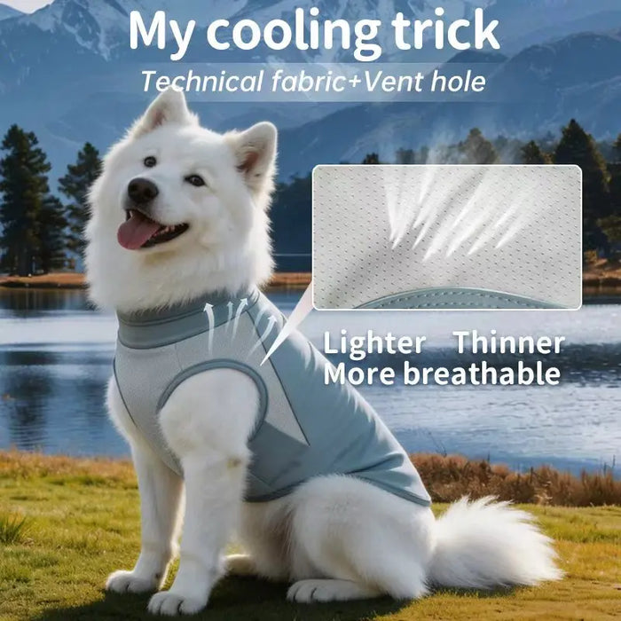 Kühlweste für Hunde mit UV-Schutz, Mesh