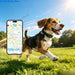 GPS-Tracker für Hunde 4G, mit Gesundheitsüberwachung
