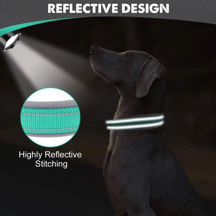 Hundehalsband gepolstert, reflektierend & breit