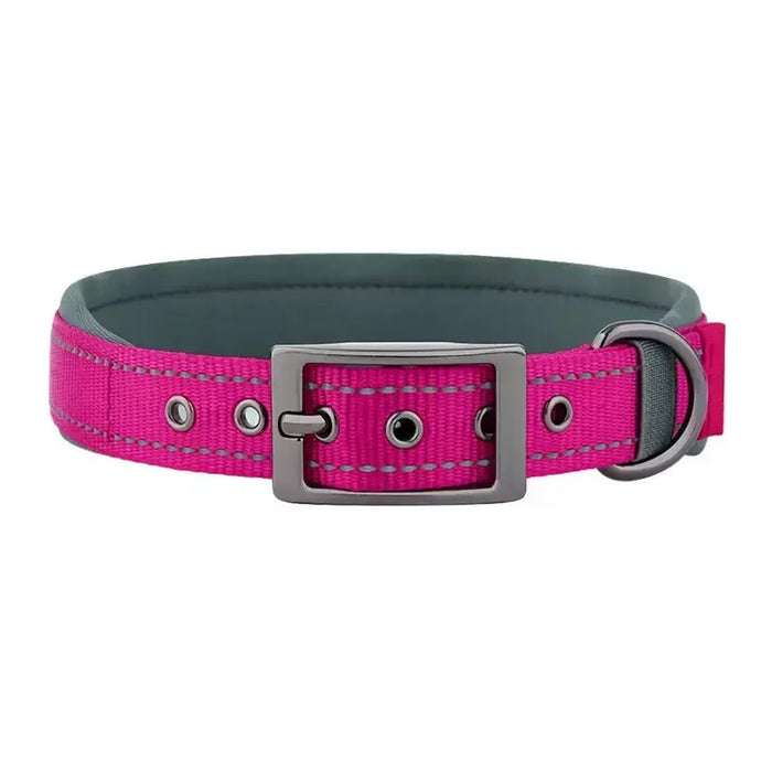 Hundehalsband aus Nylon, einfarbig mit Schnalle