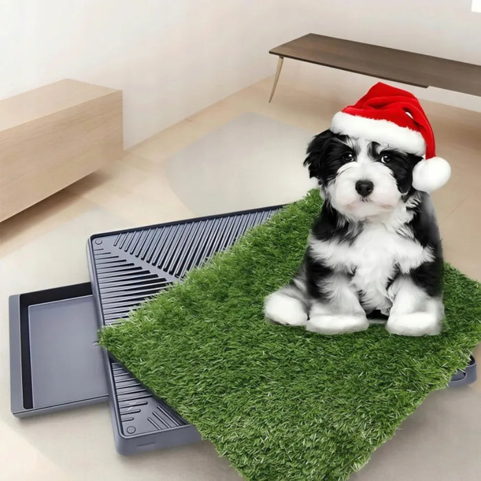 Hundetoilette für drinnen, mit Kunstrasen
