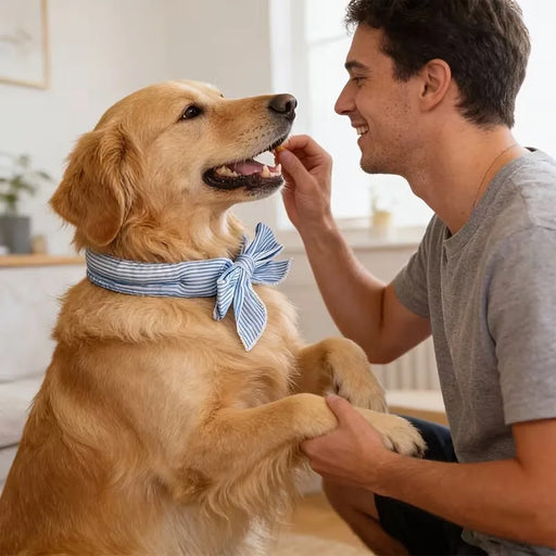 Kühlhalstuch für Hunde, gegen Hitze
