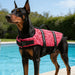 Schwimmweste für Hunde, reflektierend für den Sommer