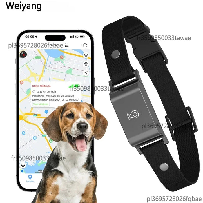 GPS-Tracker für Hunde 4G, wasserdicht IP67