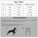 Hundeschuhe im 4er-Set, aus Mesh & reflektierend