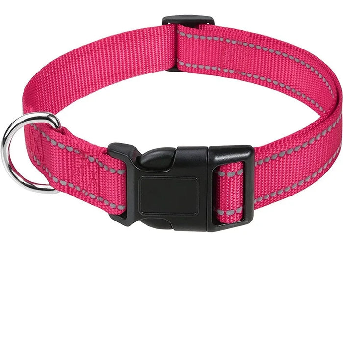 Hundehalsband dekorativ für kleine Hunde, im Set