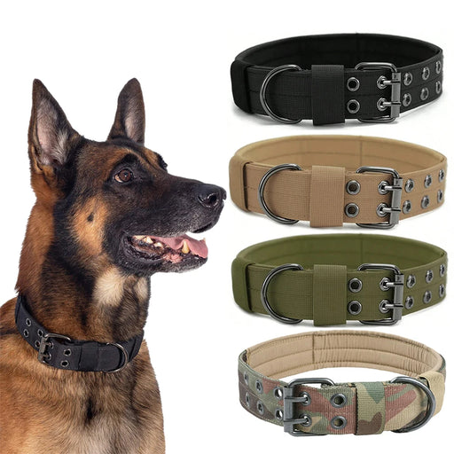 Taktisches Hundehalsband aus Nylon, mit Schnalle