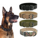 Taktisches Hundehalsband aus Nylon, mit Schnalle