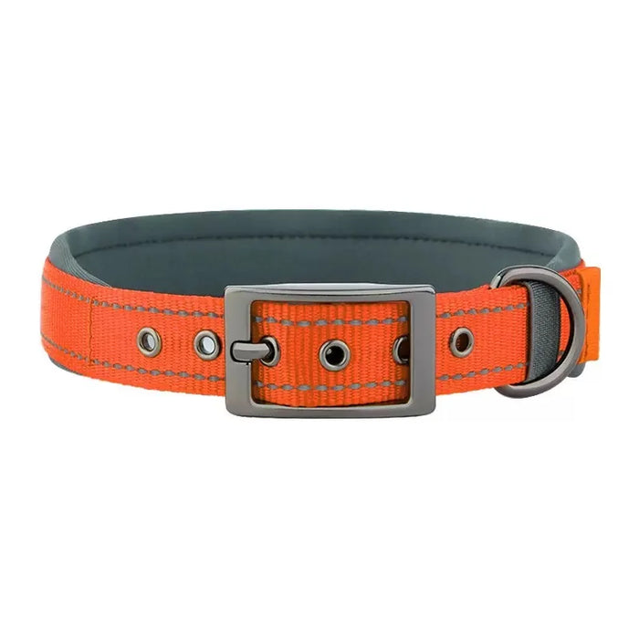 Hundehalsband aus Nylon, einfarbig mit Schnalle