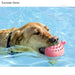 Wasserspritz-Spielzeug für Hunde, für den Pool
