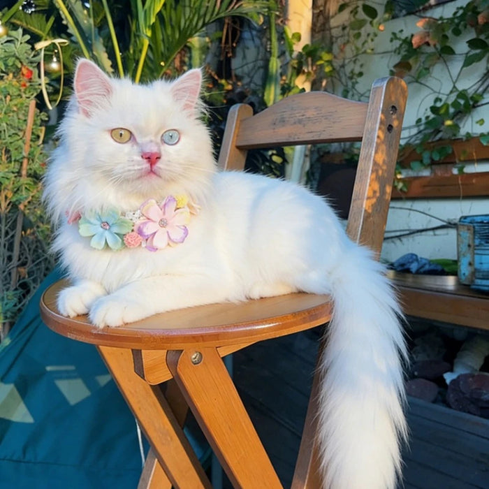 Hundehalsband mit Blüten, verstellbar für Hund & Katze