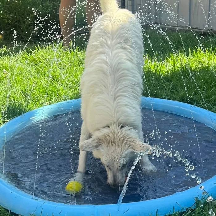 Wassermatte für Hunde mit Fontäne, zum Anschließen