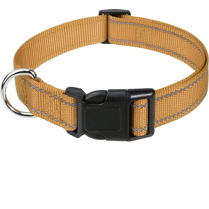 Hundehalsband dekorativ für kleine Hunde, im Set