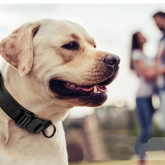 Taktisches Hundehalsband-Set mit Griff & Leine