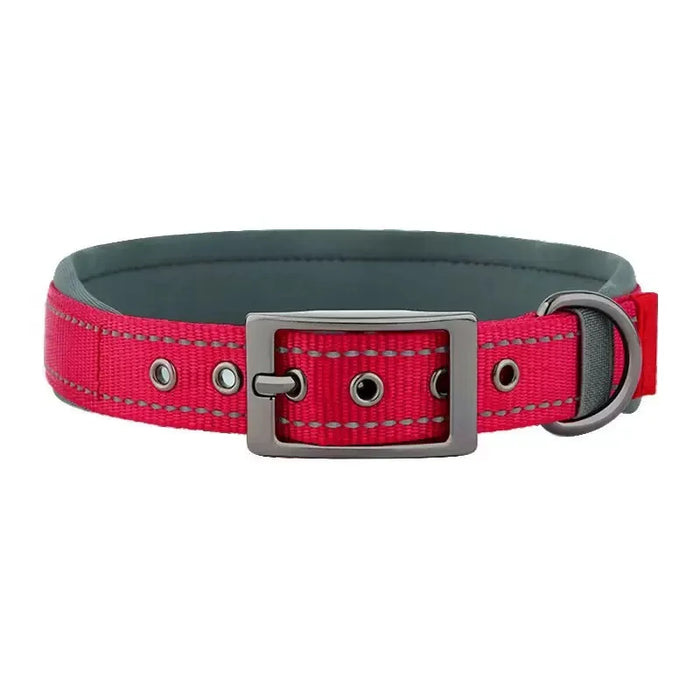 Hundehalsband aus Nylon, einfarbig mit Schnalle