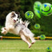 Quietschball für Hunde, mit Lachlaut zum IQ-Training