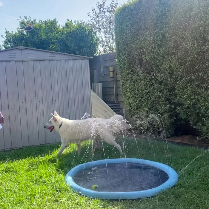 Wassermatte für Hunde mit Fontäne, zum Anschließen