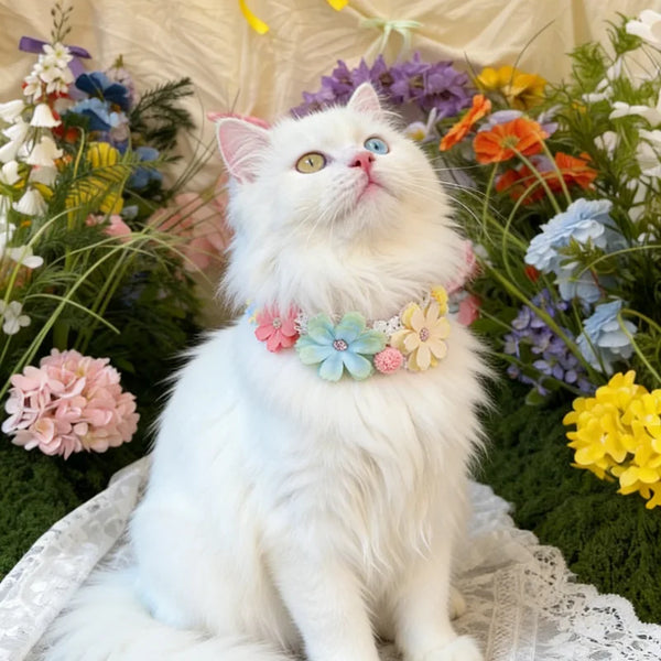 Hundehalsband mit Blüten, verstellbar für Hund & Katze