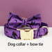 Hundehalsband personalisiert, mit Namensgravur
