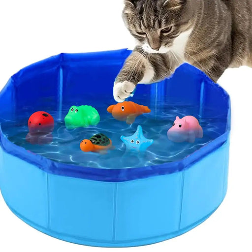Hundepool faltbar mit Fisch-Spielzeug, für drinnen