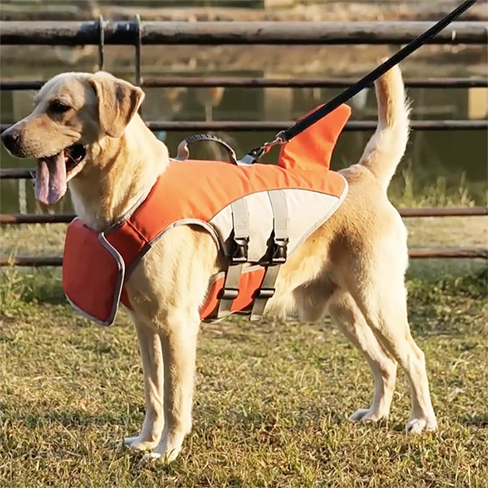 Schwimmweste für Hunde im Haifisch-Look