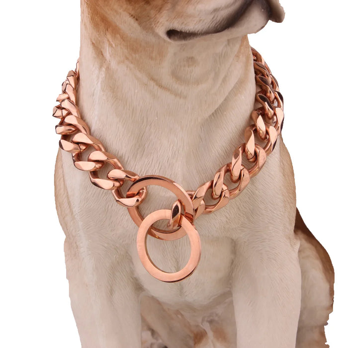 Ketten-Halsband für Hunde vergoldet, im Choker-Stil
