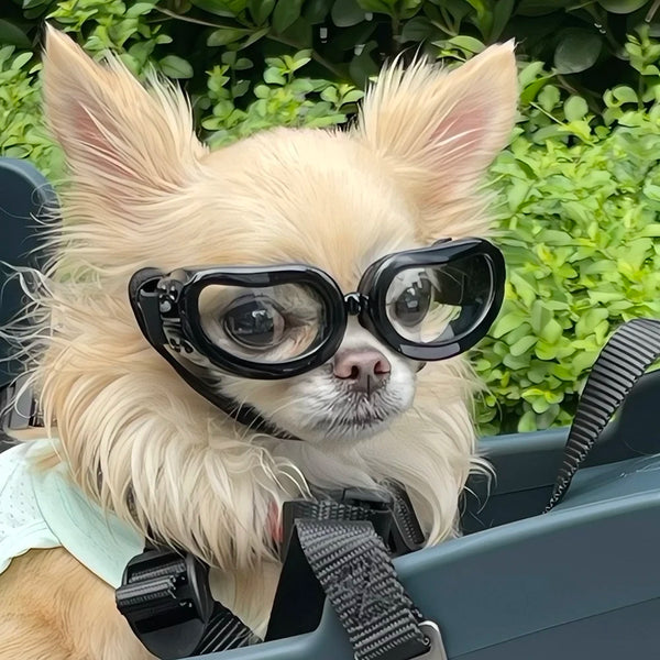 Hundebrille Retro, mit UV-Schutz für kleine Hunde