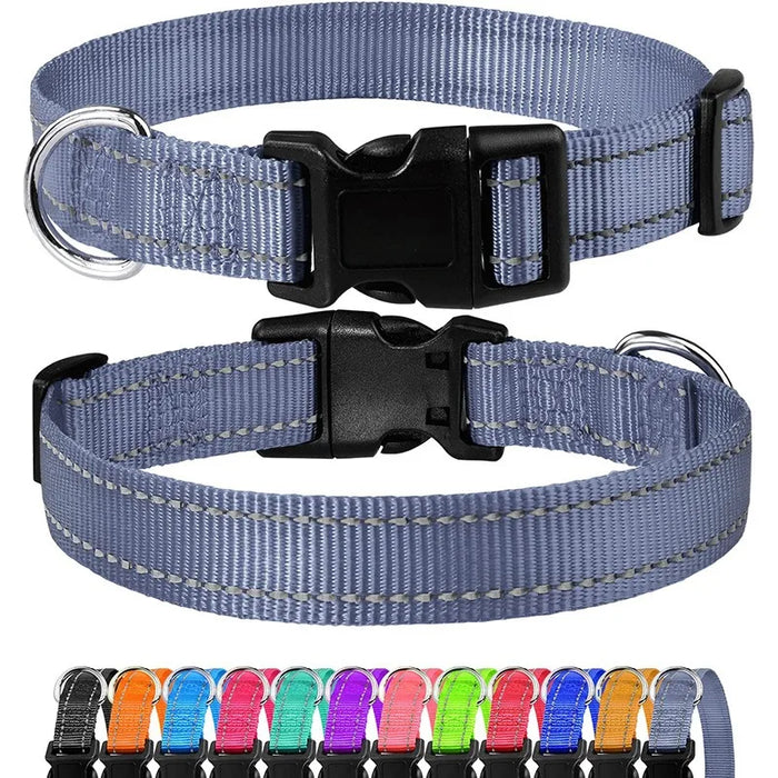 Hundehalsband dekorativ für kleine Hunde, im Set