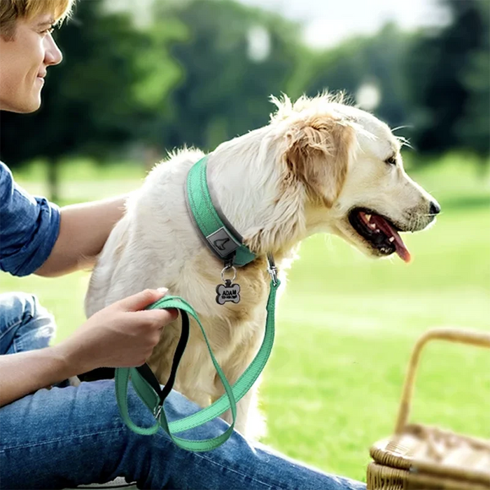 Hundehalsband gepolstert, reflektierend & breit