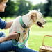 Hundehalsband gepolstert, reflektierend & breit