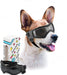 Hundebrille mit UV-Schutz, verstellbar
