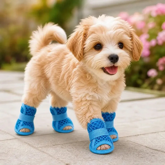 Hundeschuhe im 4er-Set aus Mesh, für kleine Hunde