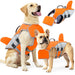 Schwimmweste für Hunde im Haifisch-Look