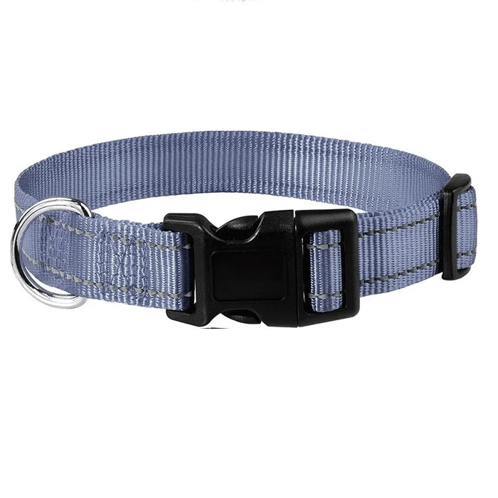 Hundehalsband dekorativ für kleine Hunde, im Set