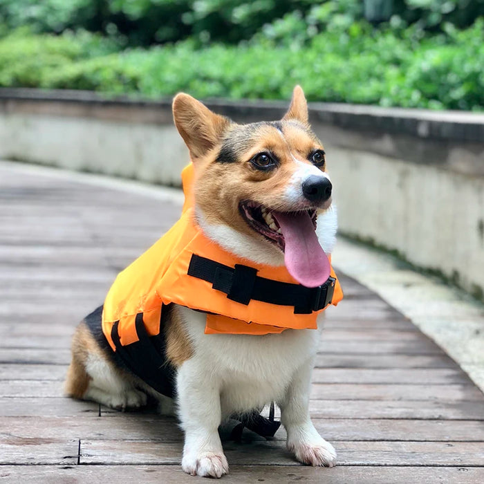 Schwimmweste für Hunde mit Rettungsgriff