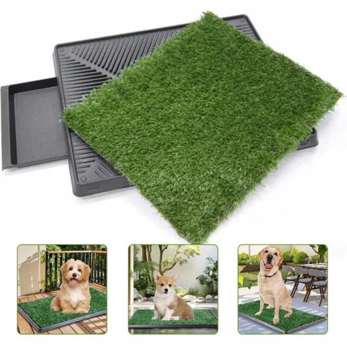 Hundetoilette für drinnen, mit Kunstrasen