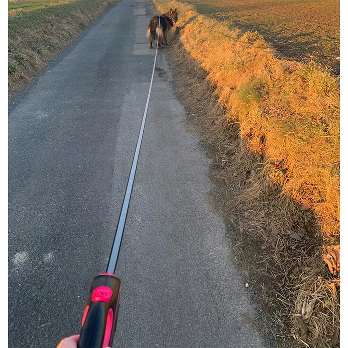 Roll-Leine für große Hunde bis 50 kg, robust